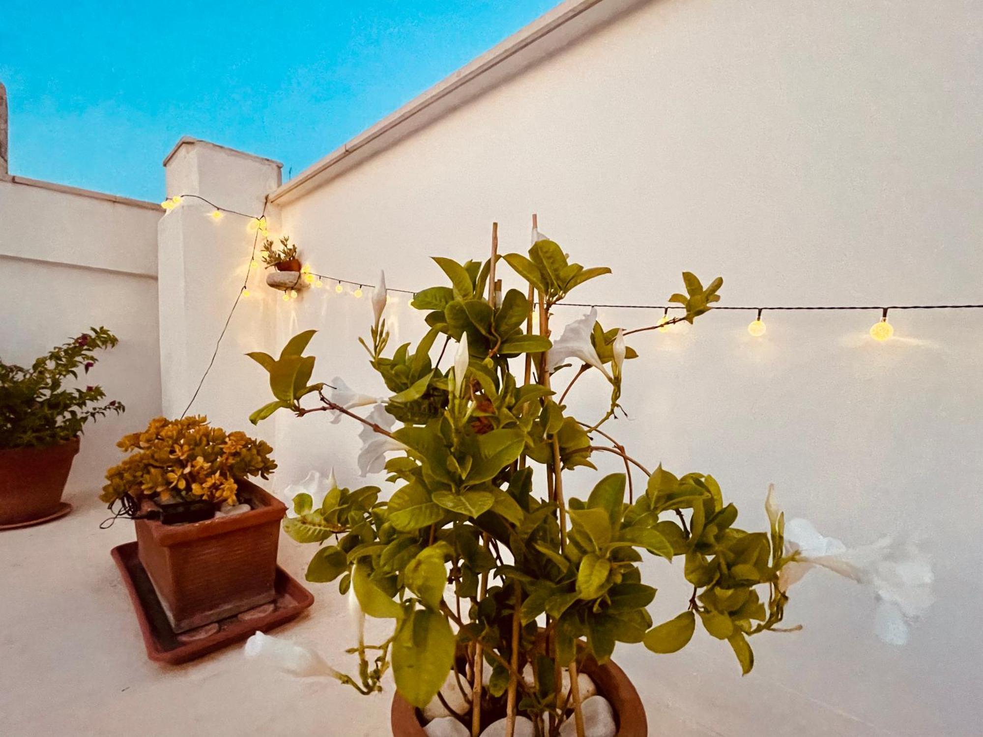 Le Nicchie Villa Бишелие Екстериор снимка